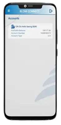 bank accounts screen